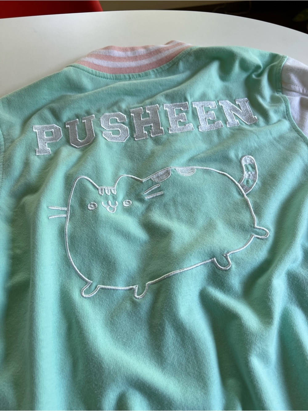 Official Pusheen Varsity Letterman Jacket Small Pastel Pink Mint Embroidered